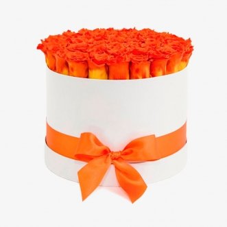 41 оранжевая роза в коробке