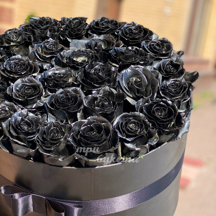 28 черных роз в шляпной коробке (на улице)