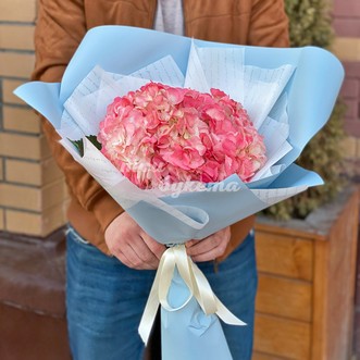 Букет из 1 розовой гортензии