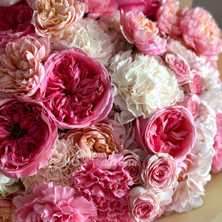 Букет розовых пионовидных и кустовых роз (крупный план)