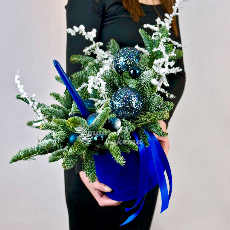 Синие елочные шары с нобилисом в коробке (вид сверху)