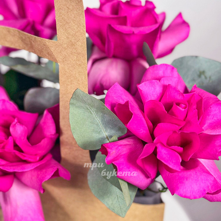 Сумка французских роз сорта Пинк Флойд (крупный план)